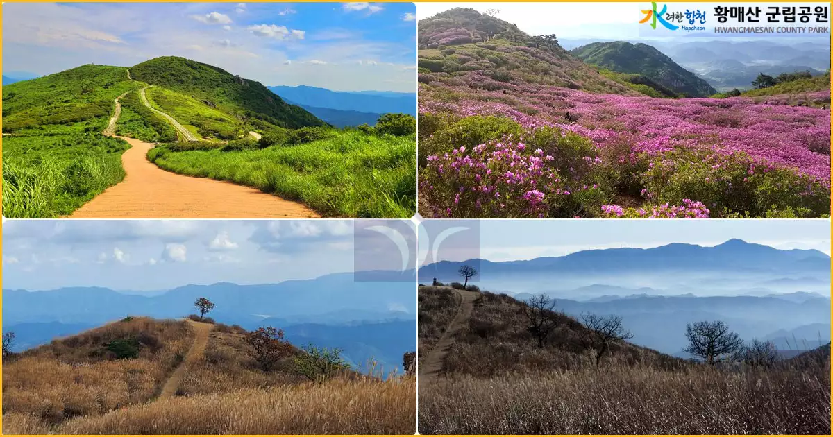 황매산의 사계절