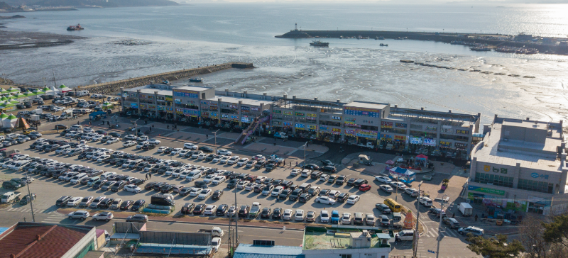 남당항새조개축제