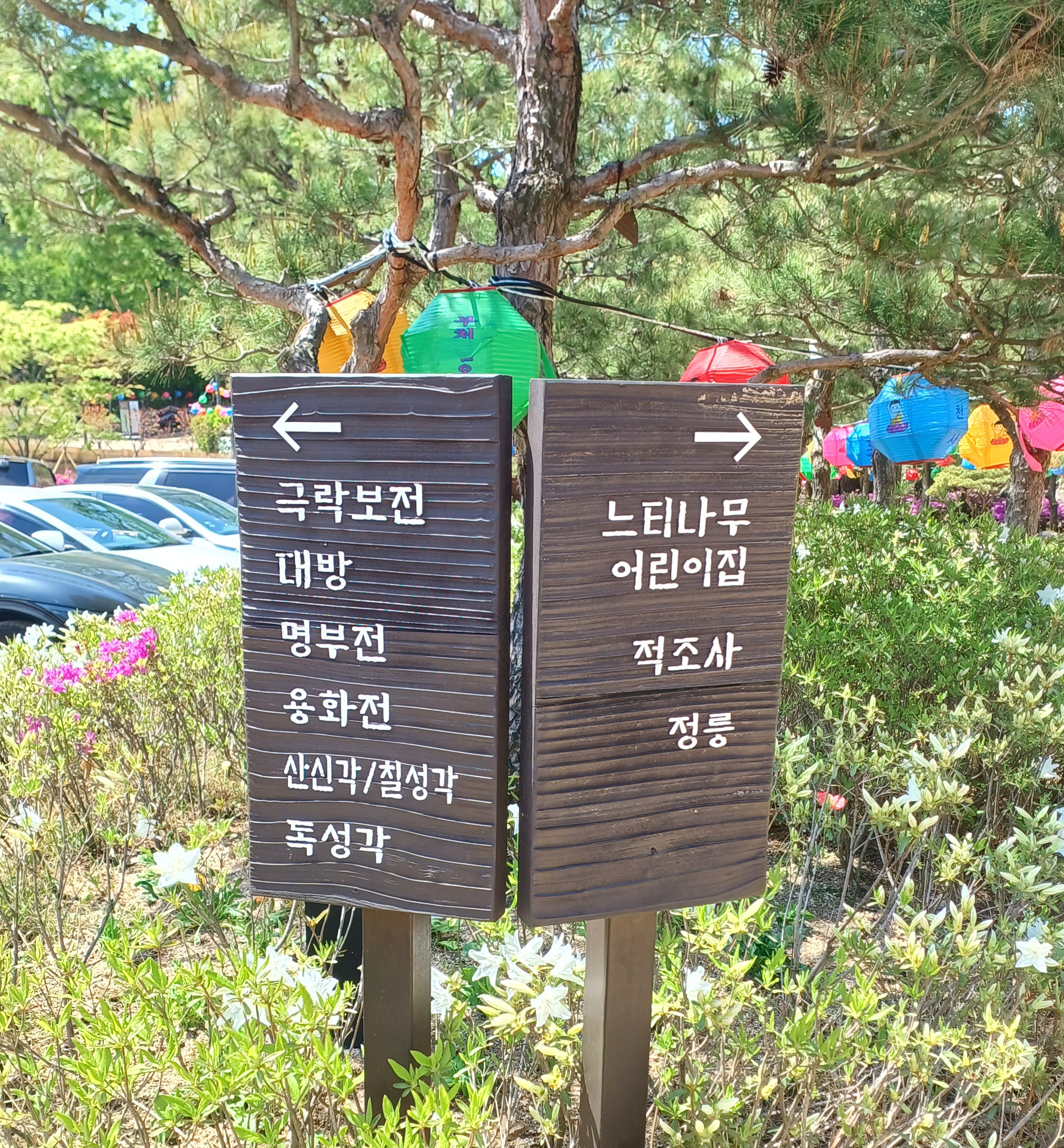 2025-부처님오신날-20-연등