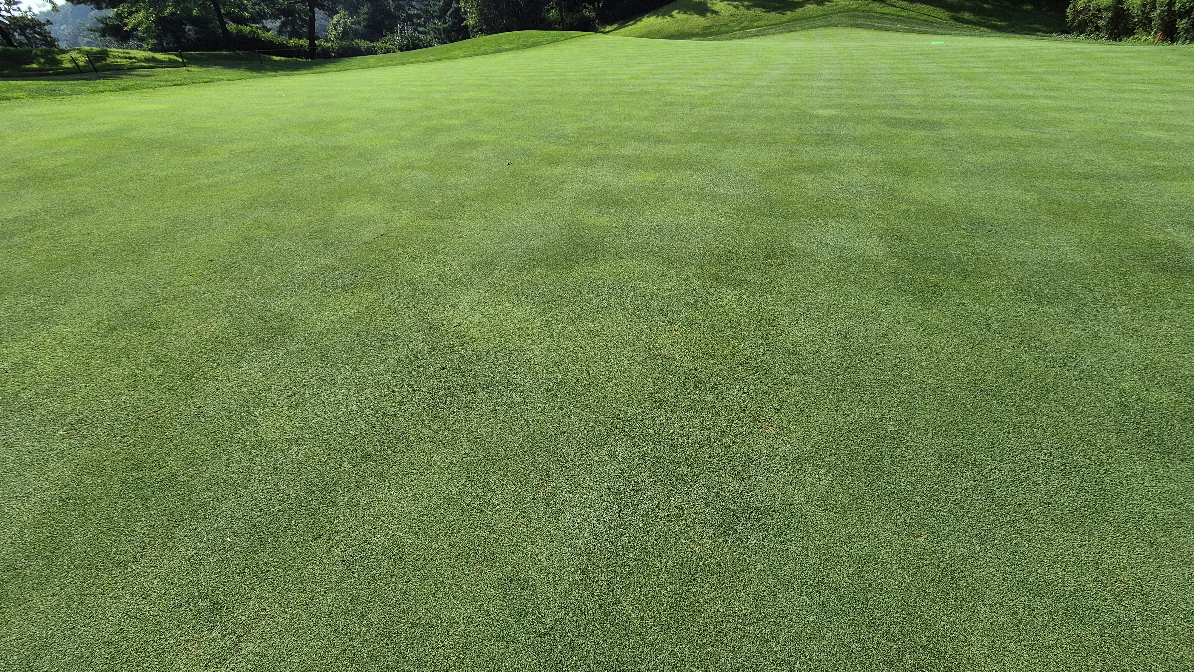 골프존카운티 천안 라운드 후기