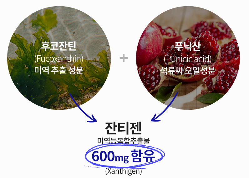 푸응 나이트버닝 잔티젠 사진