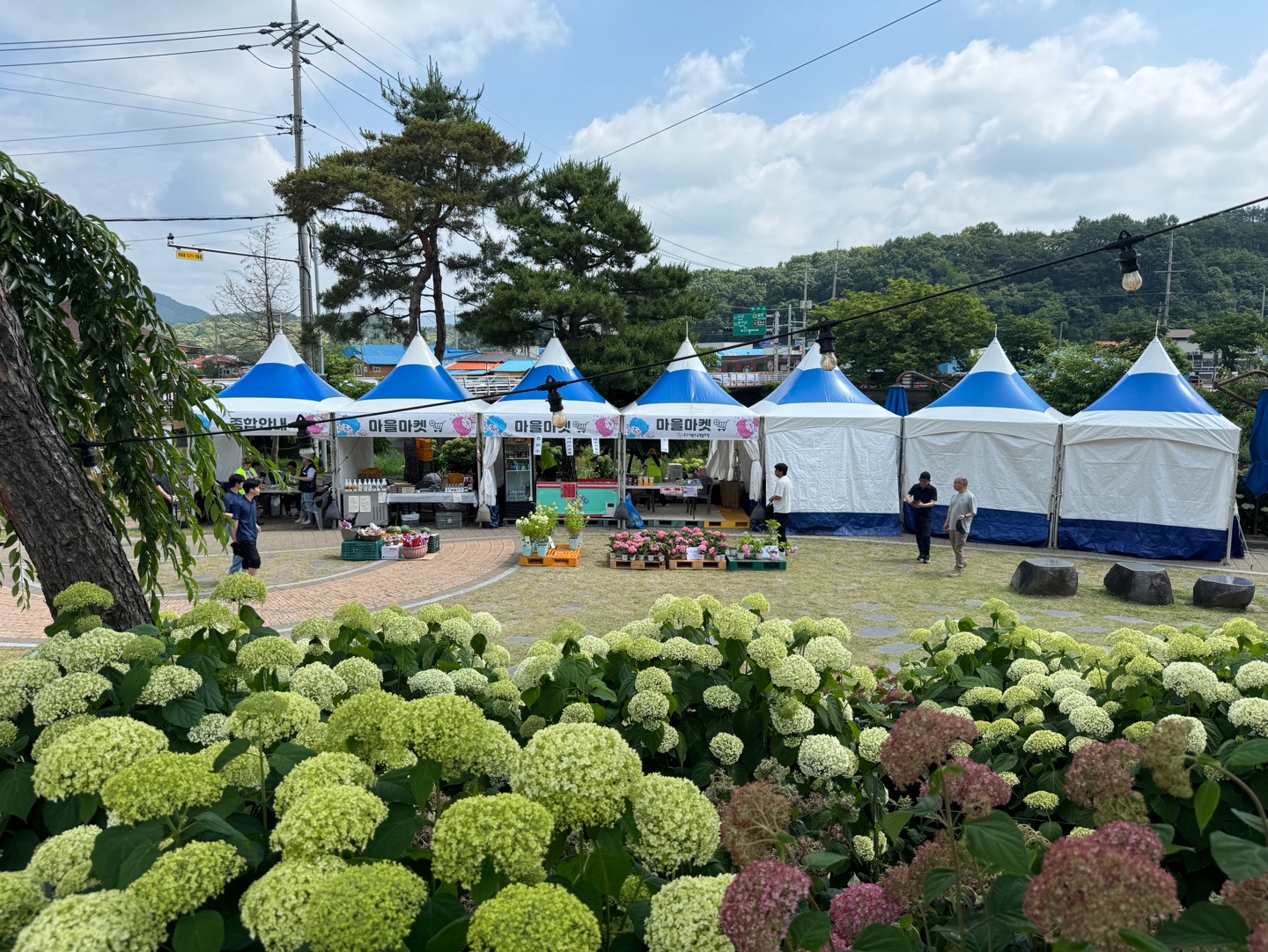 수국정원