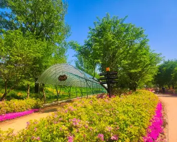 자라섬 꽃축제_20