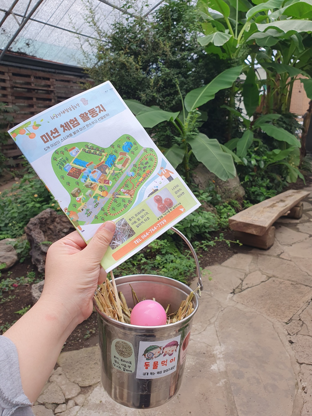 최남단 체험 감귤농장