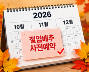 2026 절임배추 사전예약 20kg 가격 비교와 예약 시기&amp;#44; 김장 준비 방법 총정리 