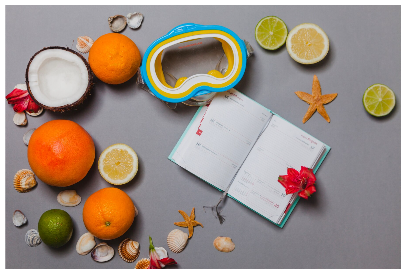 영양소에 필요한 이미지