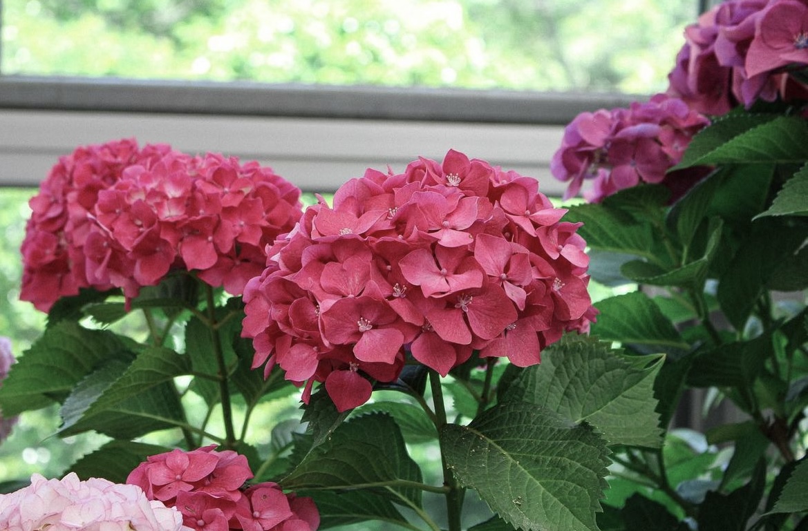 제주_6월_갈만한곳