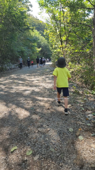  영남알프스-간월재-신불산-억새평원-억새군락지-코스추천 