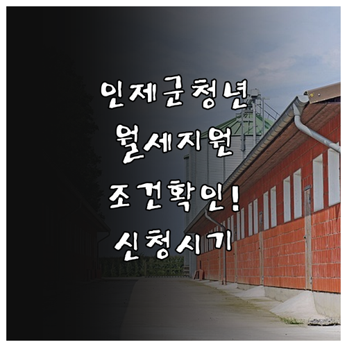 인제군 2026년 청년 월세 지원 조..