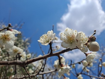 휴테크 서비스센터 전화번호 운영시간
