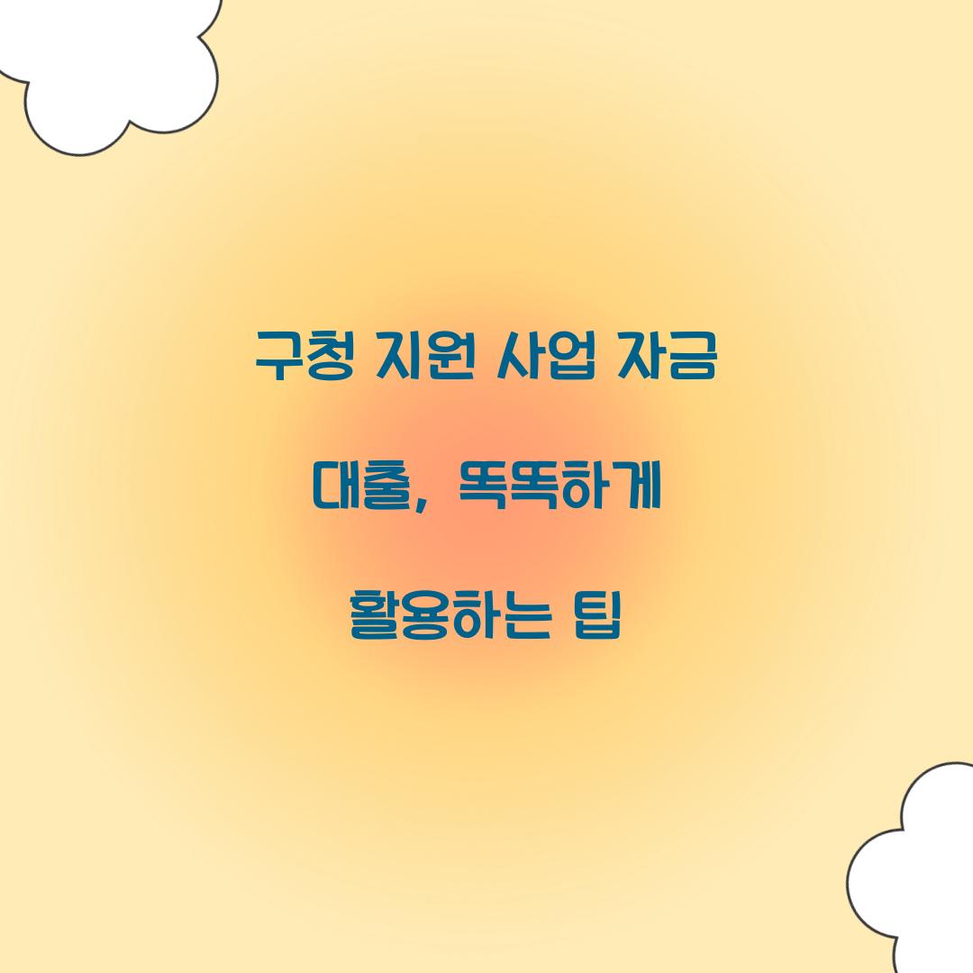 구청 지원 사업 자금 대출