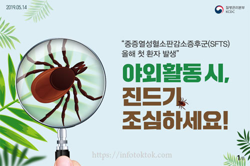 살인 진드기 물린사진 중증 열성 혈소판 감소 증후군(SFTS) 증상, 예방법