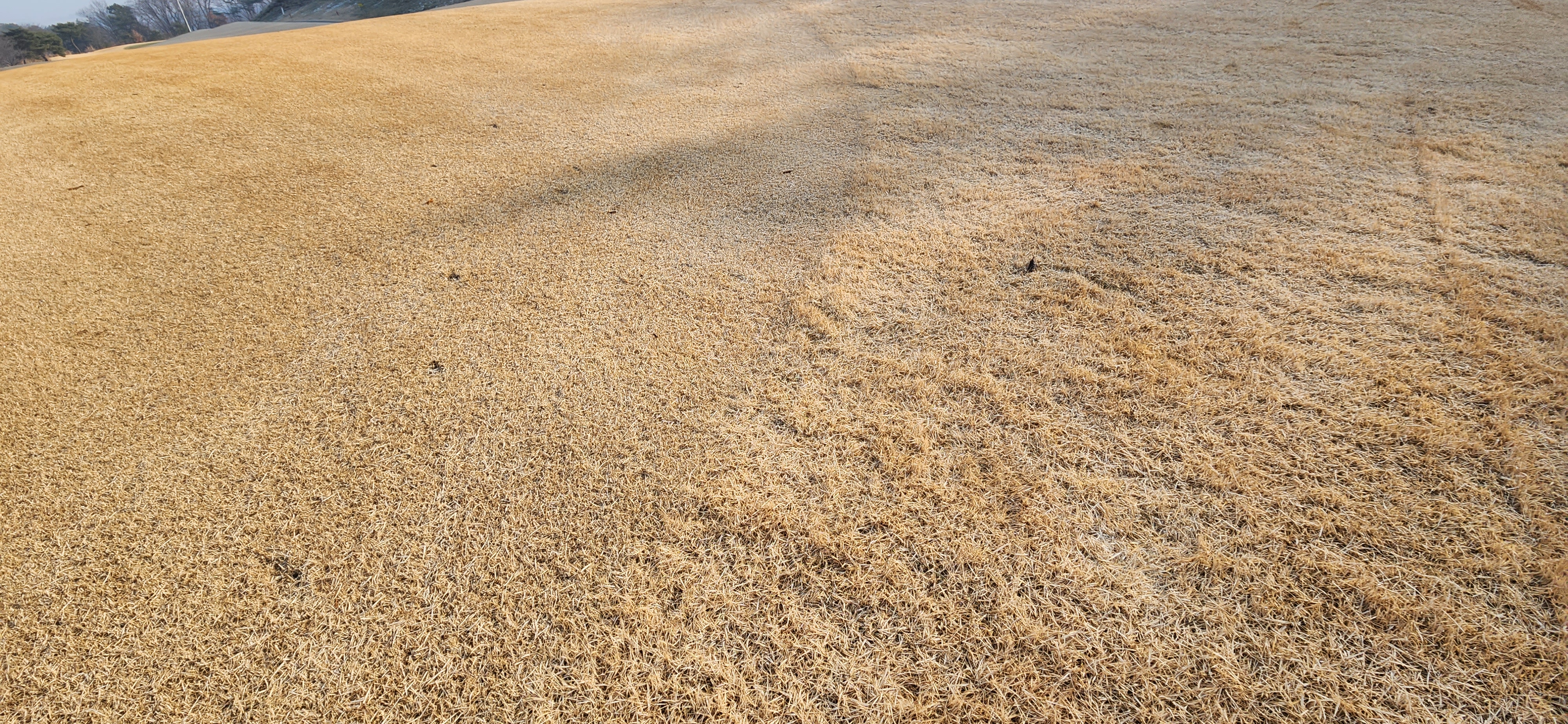 남여주gc 페어웨이