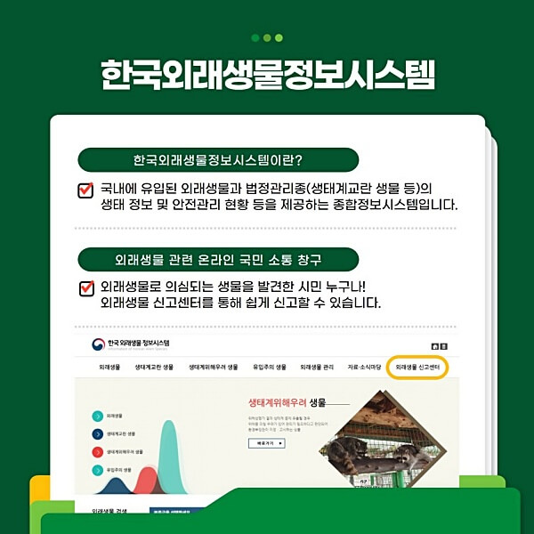 한국외래생물정보시스템-썸네일