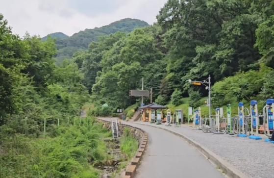 광주 독서여행으로 떠나는 문학의 길 – 한강 작가와 5월의 기억을 따라가다
