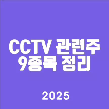 CCTV 관련주 9종목 정리
