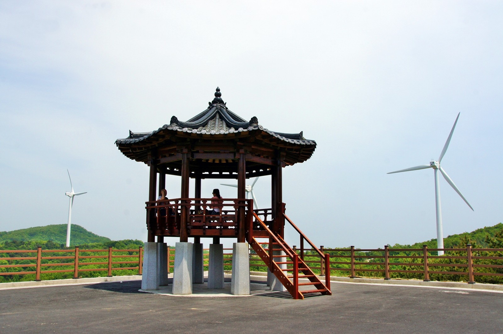 경주 풍력발전소 바람의 언덕