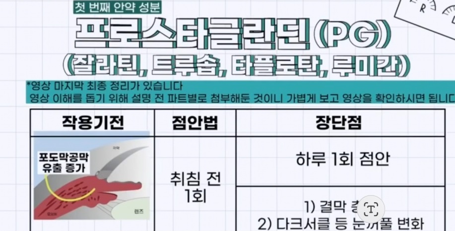 박찬기-교수-안과-성모병원
