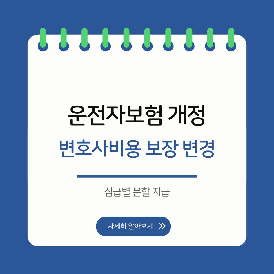 2025 운전자보험 개정 내용 요약