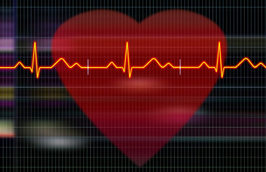 심장 비대증 원인과 치료