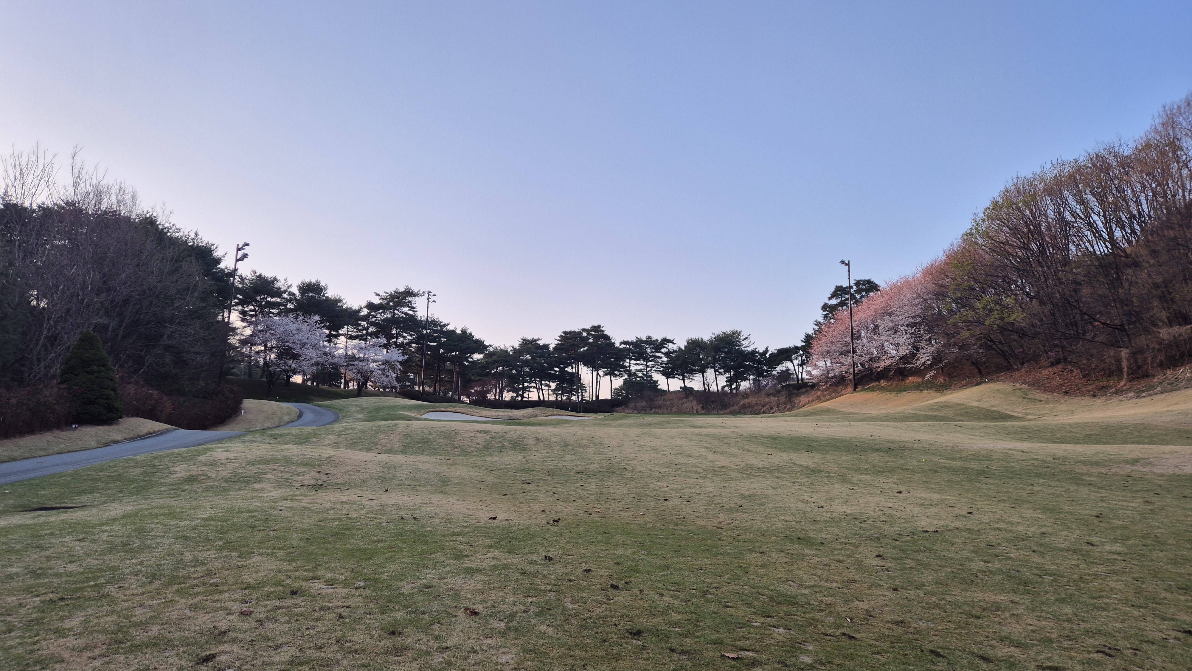 안성베네스트gc 동-남 코스 사진 및 공략 정보