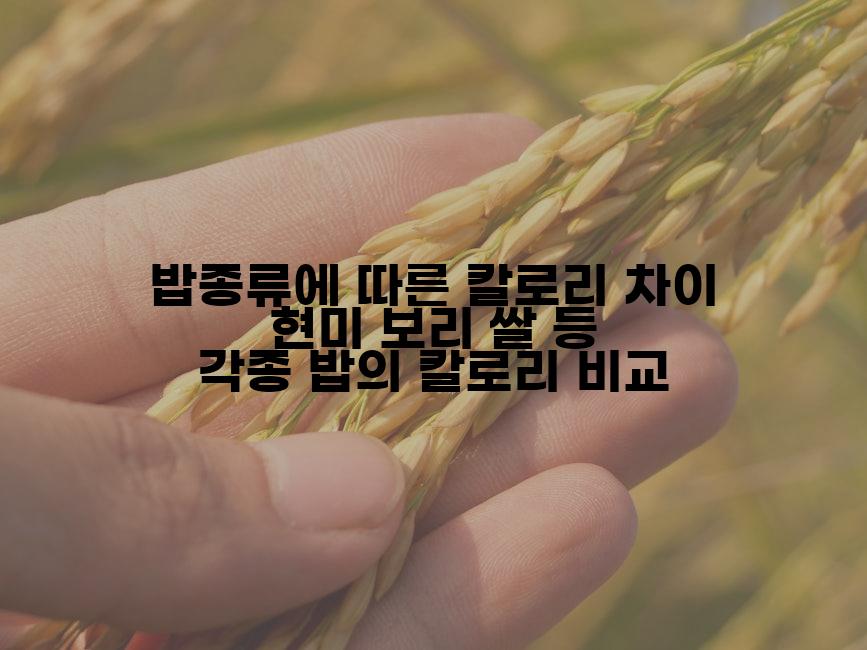 밥종류에 따른 칼로리 차이 현미 보리 쌀 등 각종 밥의 칼로리 비교