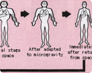 무중력 상태에서 나타나는 몸의 변화 보여주는 일러스트