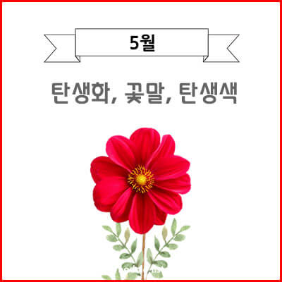 5월-탄생화