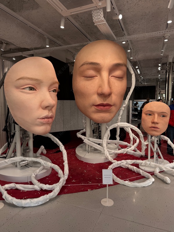 젠몬이 이런거 정말 잘해요.