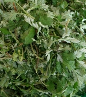 쑥 효능 부작용 칼로리 요리