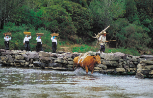 진천 농다리 축제