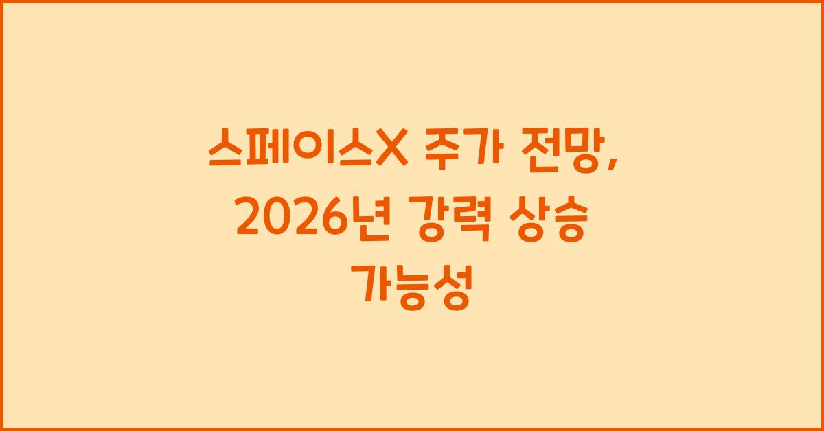 스페이스X 주가 전망