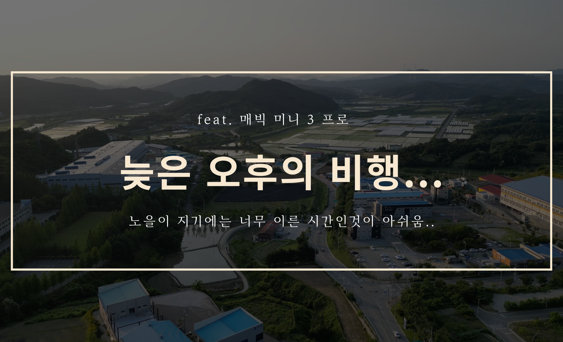 늦은 오후의 비행