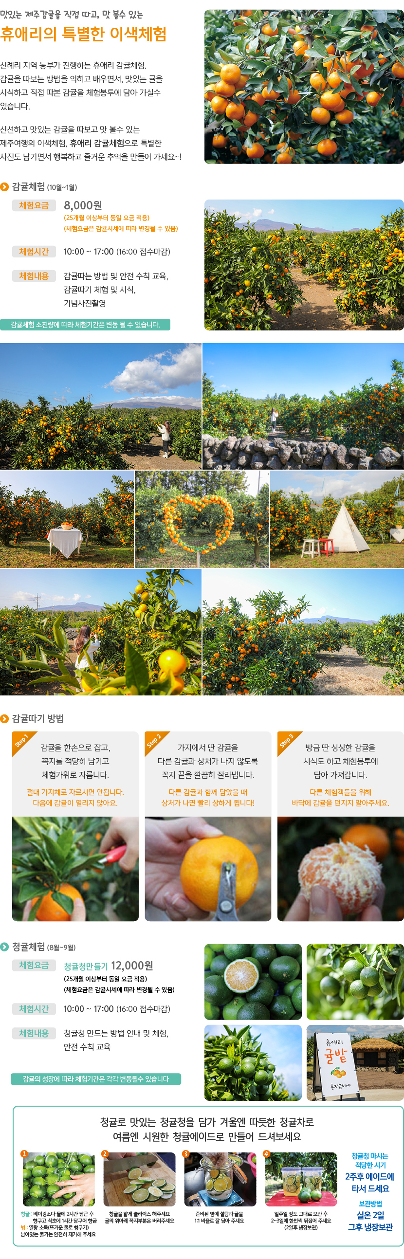 휴애리 여름 수국축제