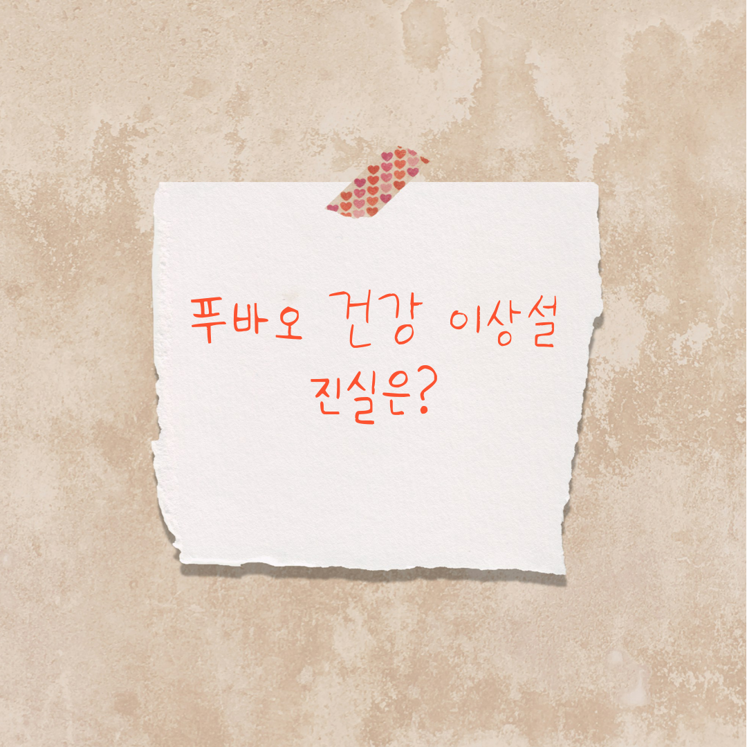 푸바오 건강 논란 관련 메인 이미지