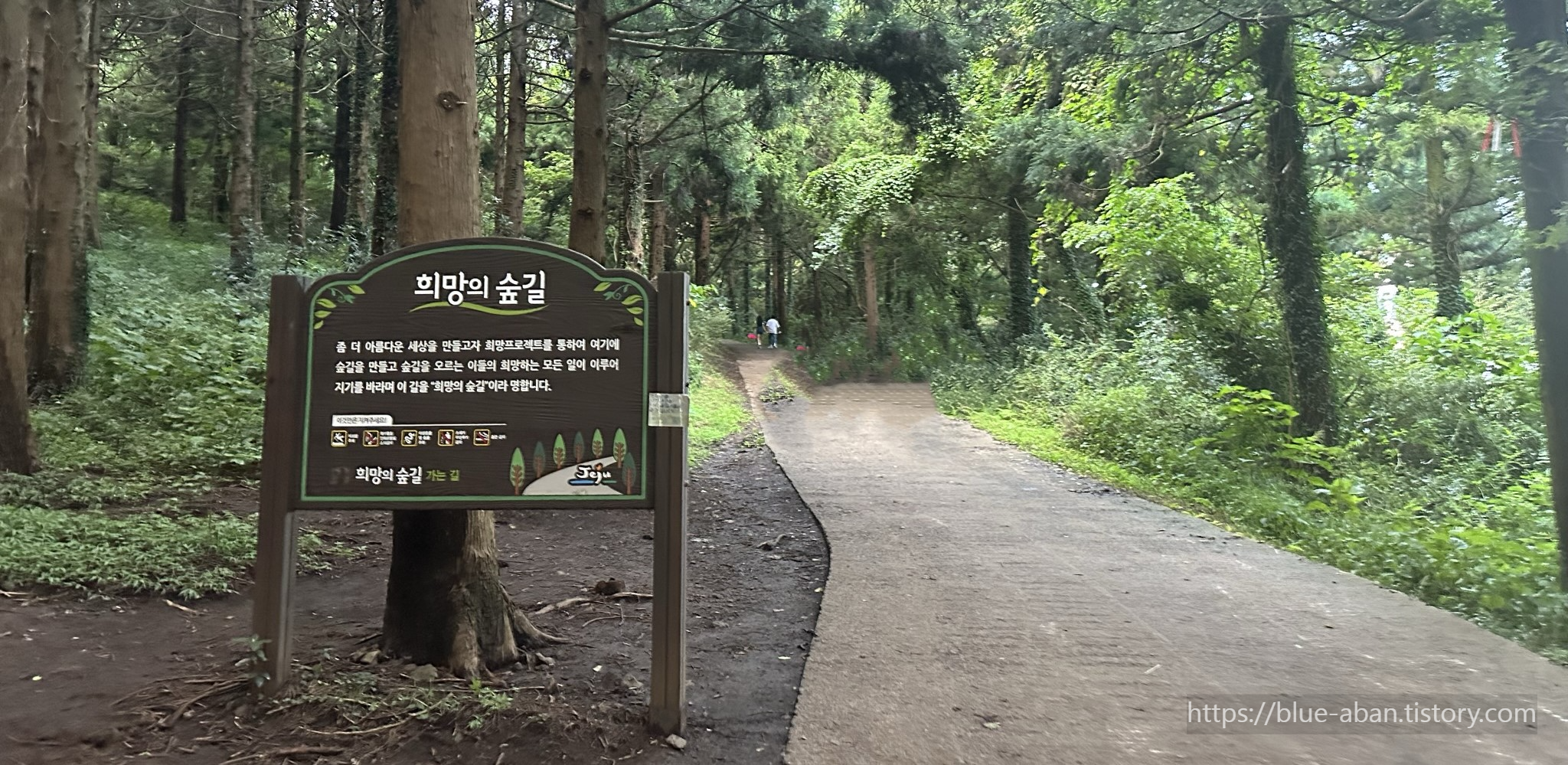 금오름 안내도