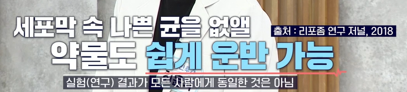 리포좀 비타민c