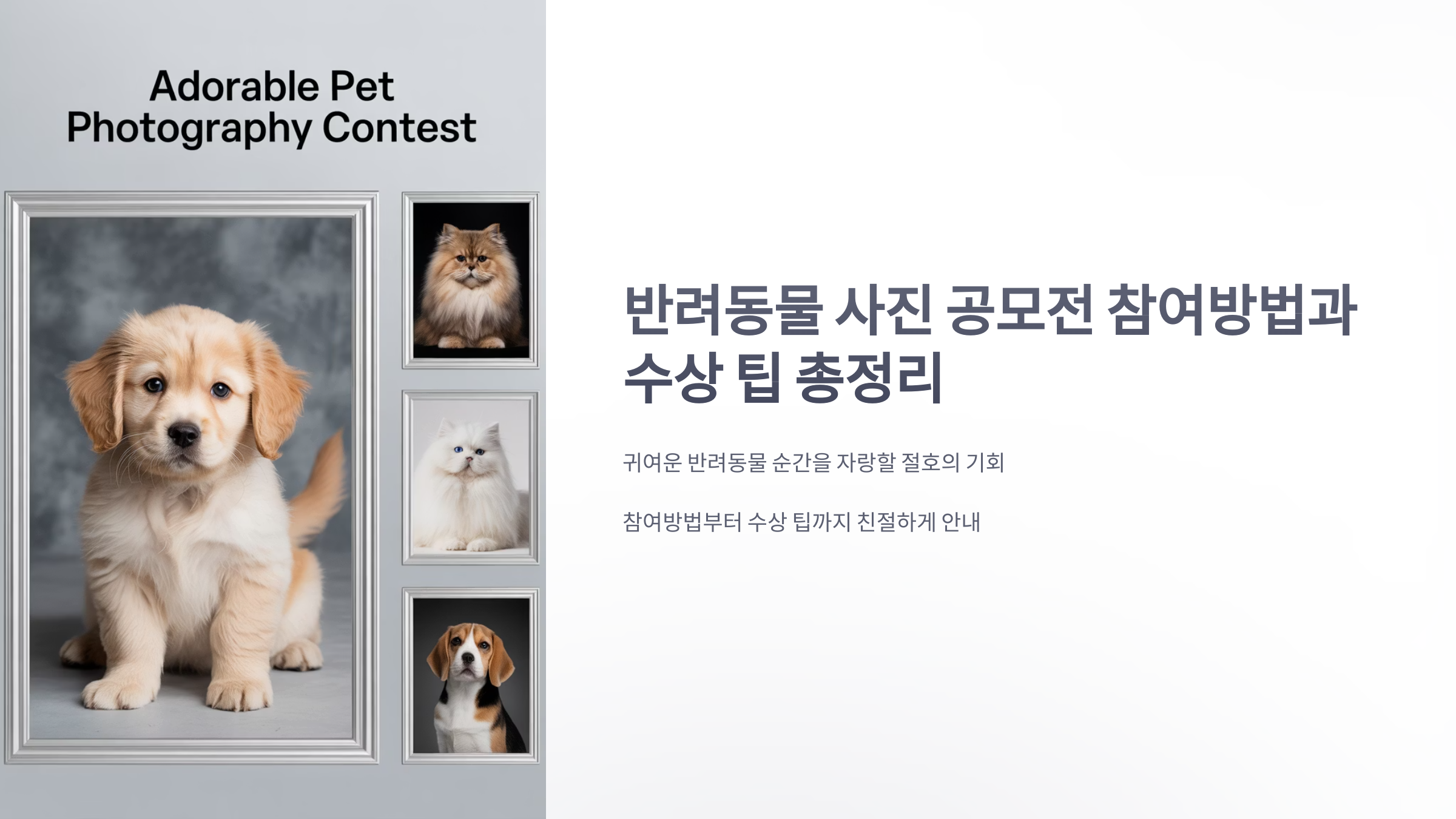 참조-반려동물-사진-공모전-1