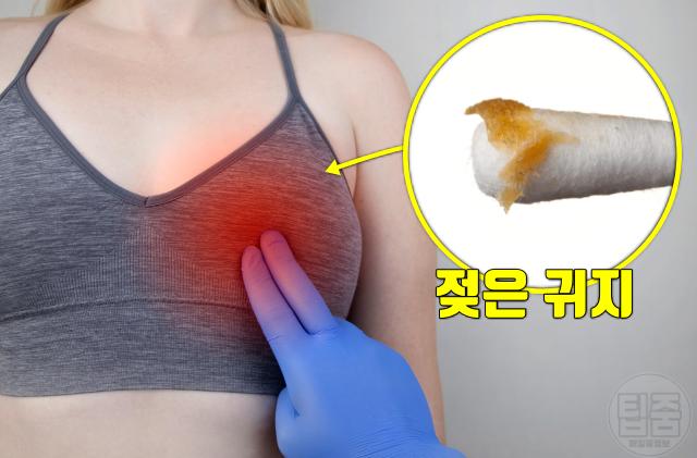 귀 건강 유방암 귀지