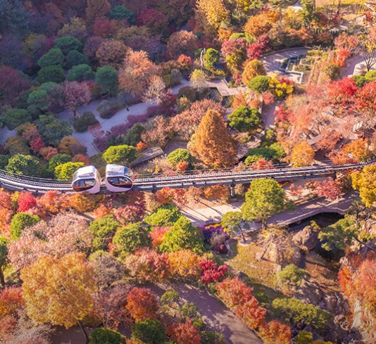 화담숲 모노레일