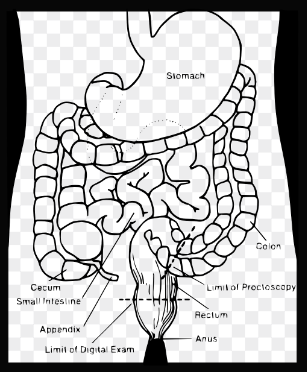 역류성식도염증상