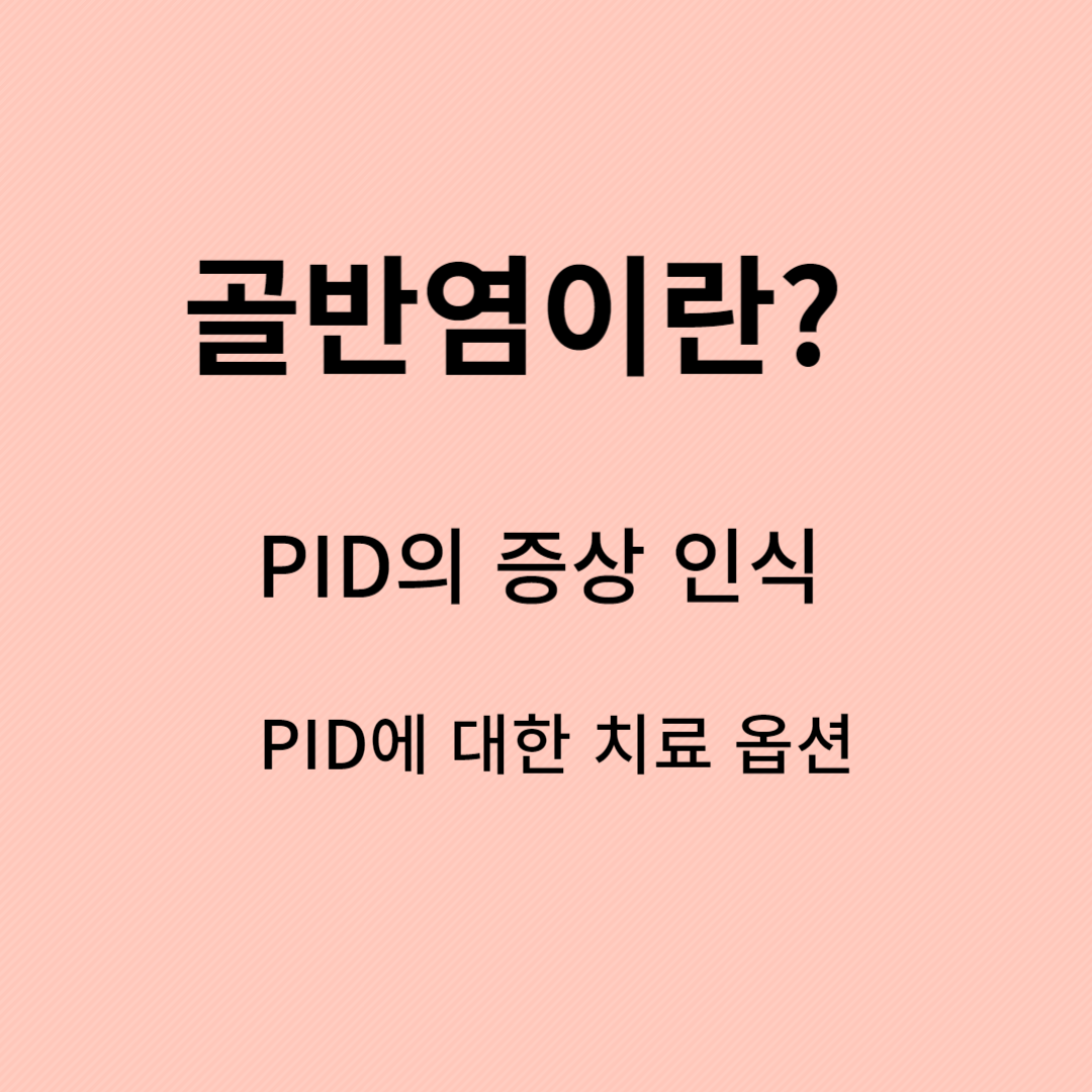 골반염&#44;골반염 증상&#44;골반염 검사&#44;골반염 원인&#44;골반염 치료&#44;골반염 통증&#44;골반염증&#44;여자 골반염