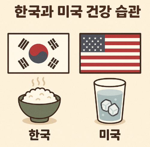 한국과 미국 건강 습관 (운동, 식사, 수면)