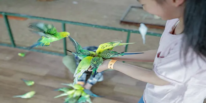 실내동물원 라온ZOO