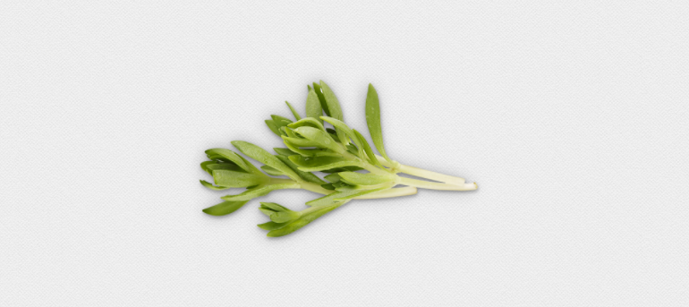 초록색-나물이-있는-장면