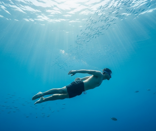 프리다이빙 자격증(AIDA 2), 2일 만에 취득? (과정, 비용, 현실 후기 총정리)