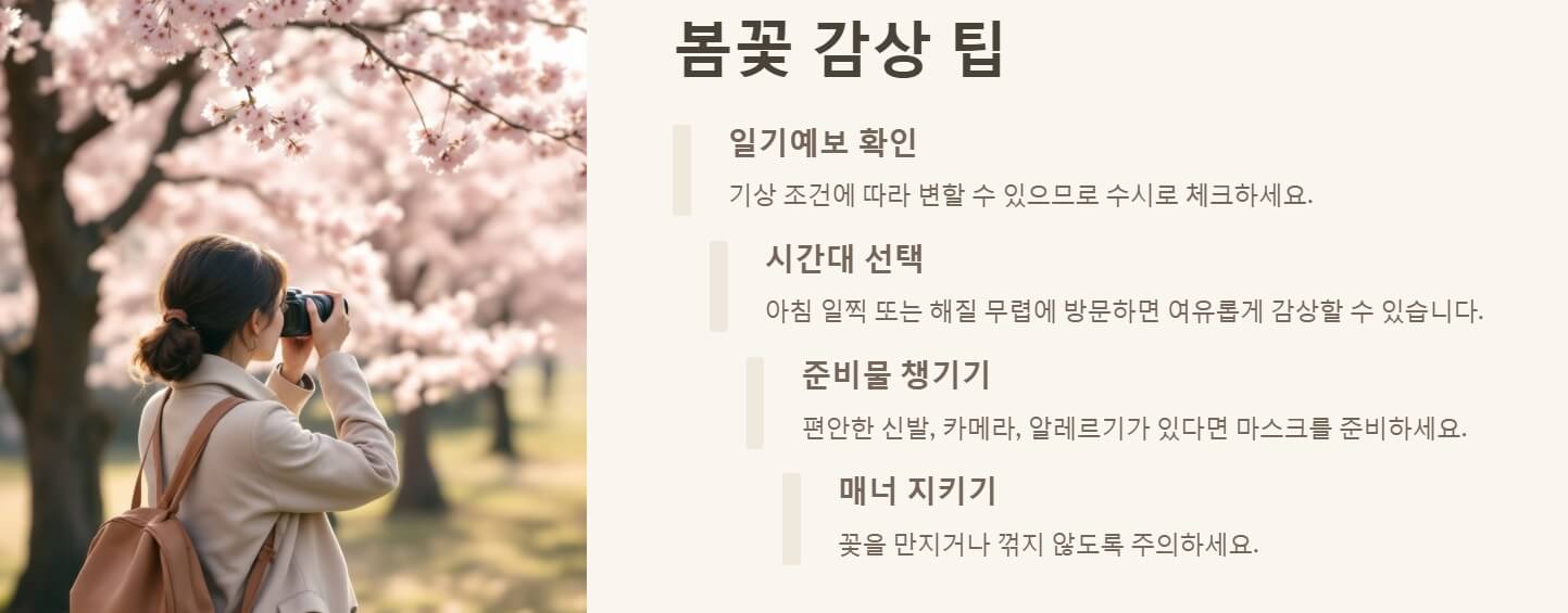 봄꽃 개화시기 피는 날짜