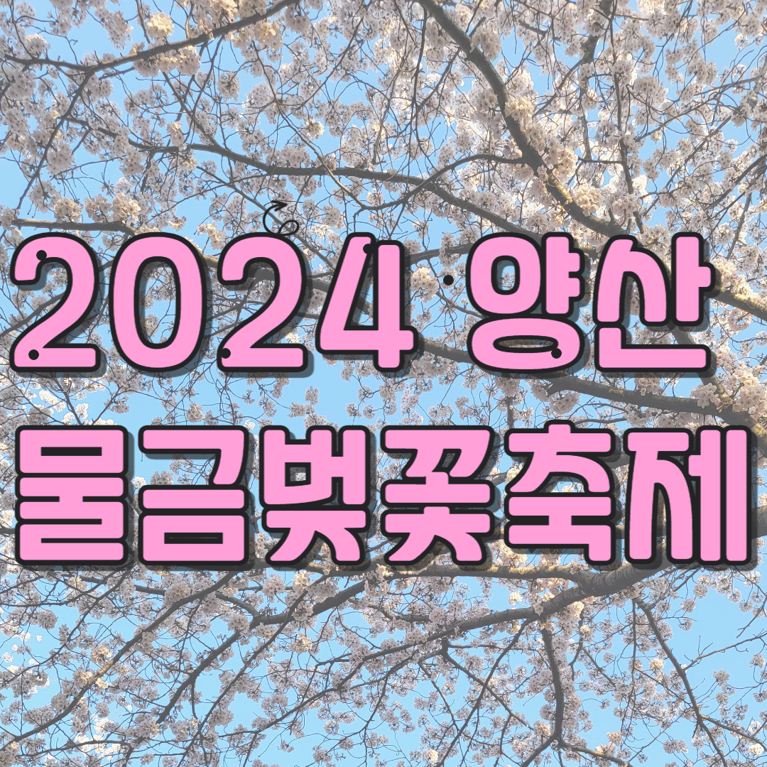 양산벚꽃축제