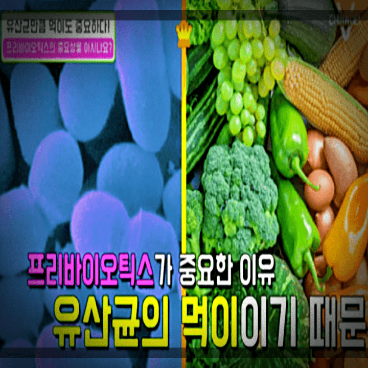 프리바이오틱스-유산균-중요한-이유