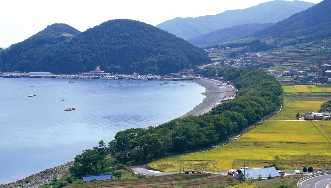 물건방조어부림